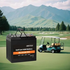 LITHIUM ION GOLF CART BATTERIES