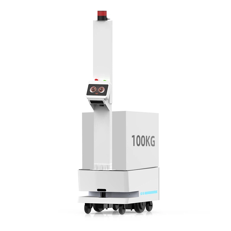 MOBILE ROBOT FOR GARMENT