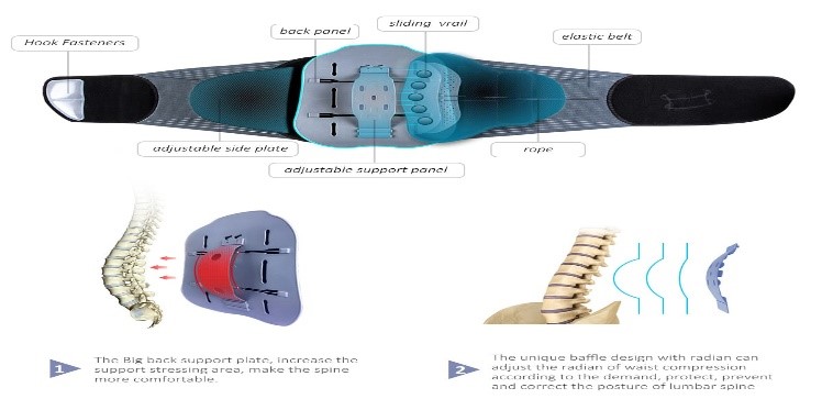 BACK PAIN SUPPORT BELT - Image 2